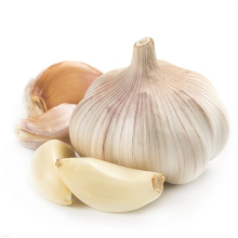 Garlic 2021 New Crop Cheap Price 5.0/5.5/6.0 cm Fresh Normal White Garlic
